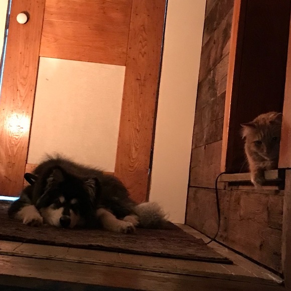 Meet your Posher, Morgan - Picture 11 of 11